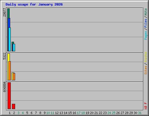 Daily usage for January 2026