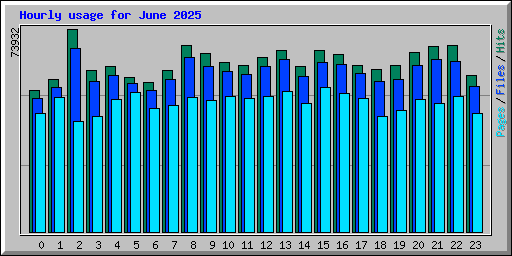 Hourly usage for June 2025