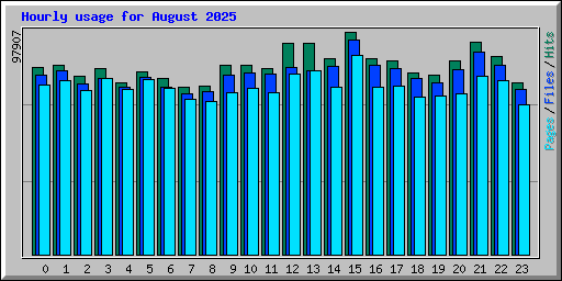 Hourly usage for August 2025
