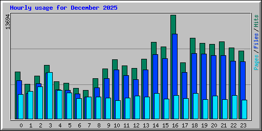 Hourly usage for December 2025