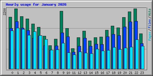 Hourly usage for January 2026