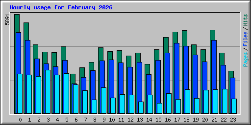 Hourly usage for February 2026