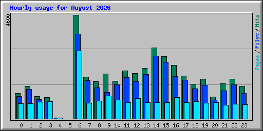 Hourly usage for August 2026