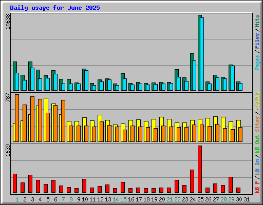 Daily usage for June 2025