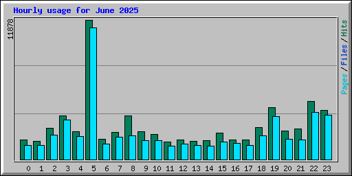 Hourly usage for June 2025