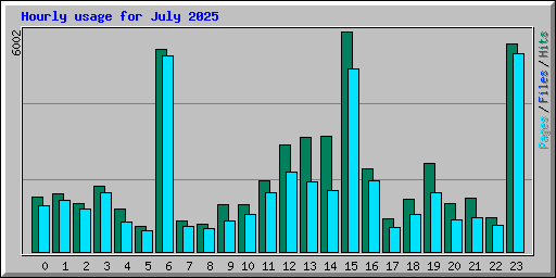 Hourly usage for July 2025