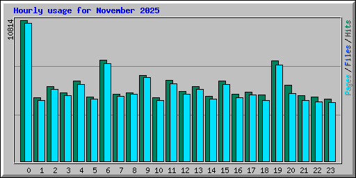 Hourly usage for November 2025