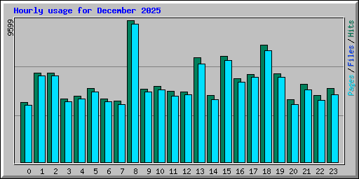 Hourly usage for December 2025