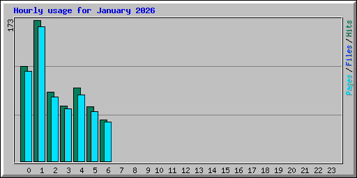 Hourly usage for January 2026