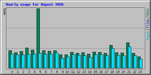 Hourly usage for August 2026